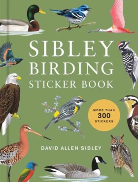Sibley Bir &hellip;