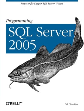 Programmin …