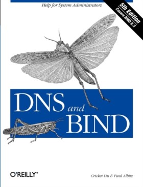DNS and Bi …