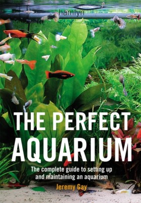 The Perfec …