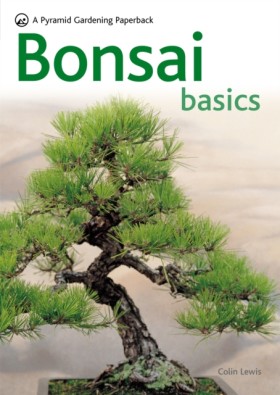 Bonsai Bas …