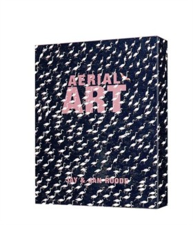 Aerial Art …