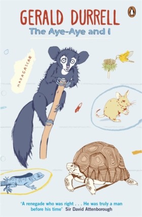 The Aye-Ay …