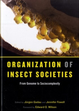 Organizati &hellip;