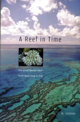 A Reef in &hellip;