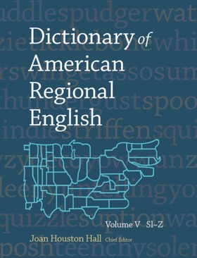 Dictionary …