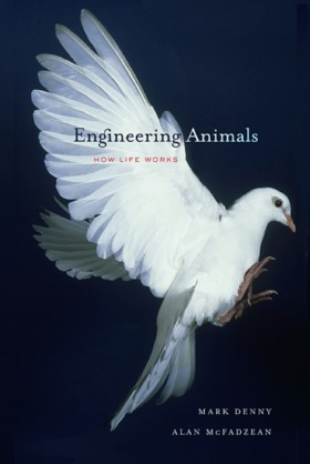 Engineerin &hellip;