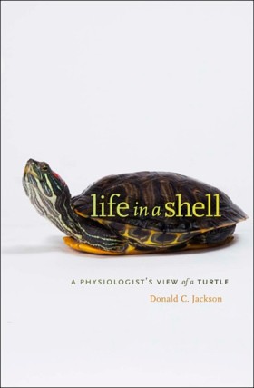 Life in a &hellip;