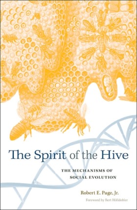 The Spirit …