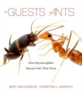 The Guests &hellip;