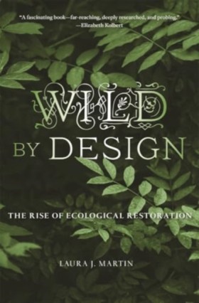 Wild by De &hellip;