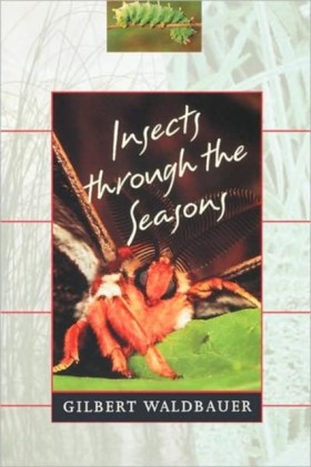 Insects th …