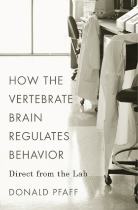 How the Ve &hellip;
