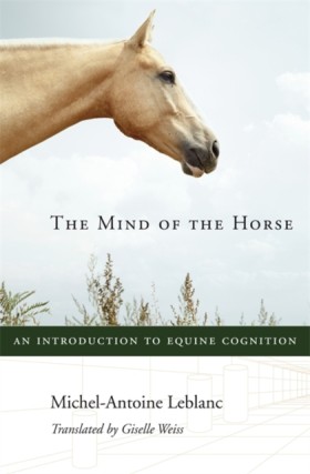 The Mind o …