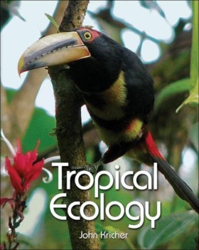 Tropical E &hellip;