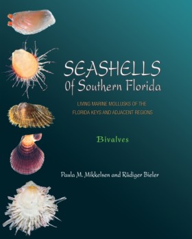 Seashells &hellip;