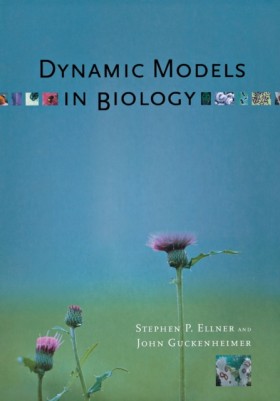 Dynamic Mo …