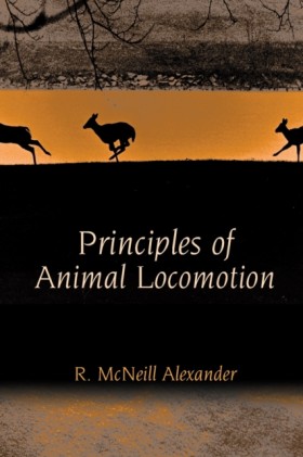 Principles &hellip;
