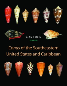 Conus of t …