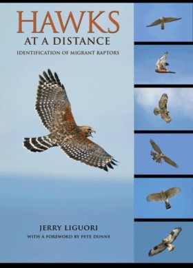 Hawks at a …