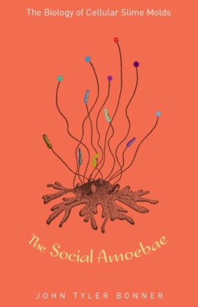 The Social …