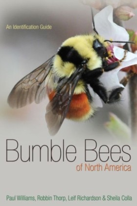 Bumble Bee &hellip;