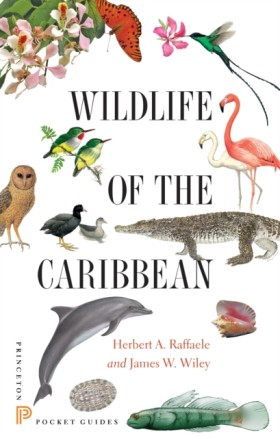 Wildlife o &hellip;