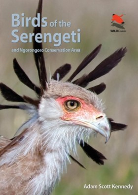 Birds of t …