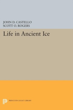 Life in An &hellip;