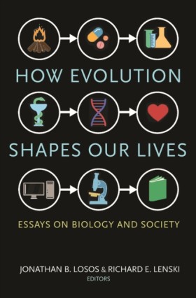 How Evolut &hellip;