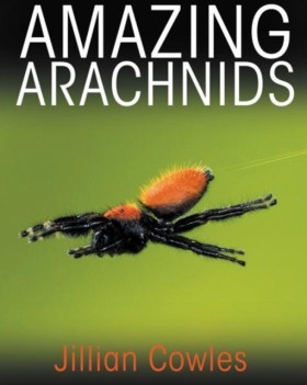 Amazing Ar &hellip;