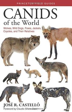 Canids of …