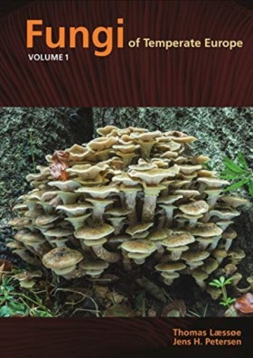 Fungi of T …