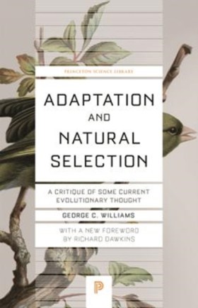 Adaptation &hellip;