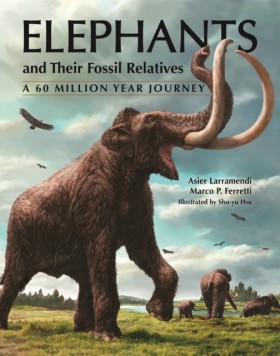 Elephants &hellip;
