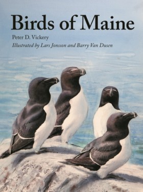 Birds of M &hellip;