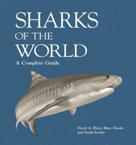 Sharks of &hellip;