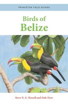 Birds of B &hellip;