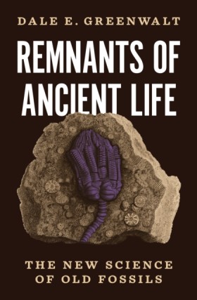 Remnants o …