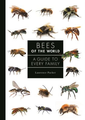 Bees of th &hellip;