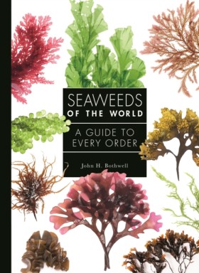 Seaweeds o …