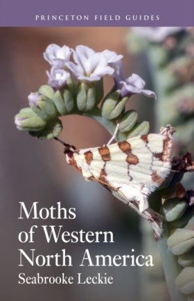Moths of W &hellip;