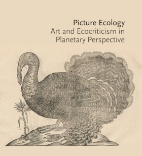 Picture Ec …