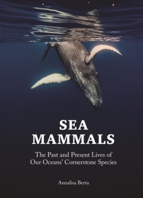 Sea Mammal …