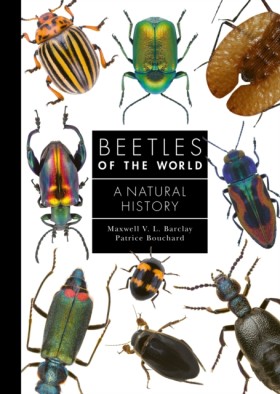 Beetles of …