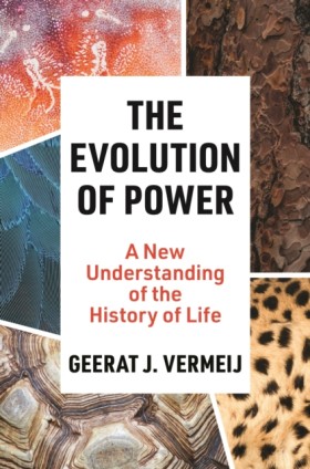 The Evolut &hellip;
