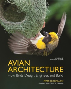 Avian Arch &hellip;