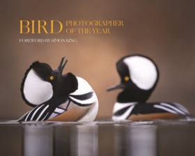 Bird Photo &hellip;
