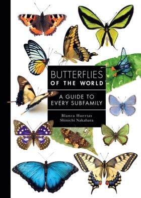 Butterflie &hellip;