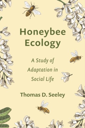 Honeybee E …